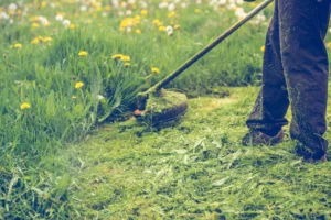 Herbasse-Services-Debroussaillage-entretien-jardin-Romans-Boug-de-Peages-Chatuzange